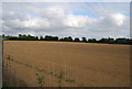 Field by the Tunbridge Wells Circular Path near Speldhurst