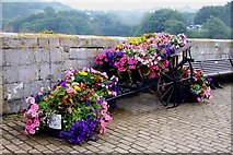 SS5247 : Floral display on the pier at Ilfracombe harbour by Steve Daniels
