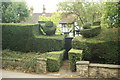 Topiary at West Clandon