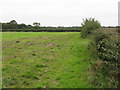 Footpath To Birtles Farm