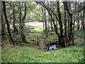 Footbridge over mill lade