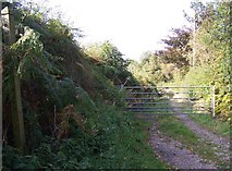 SK0905 : Footpath In Chesterfield by Geoff Pick
