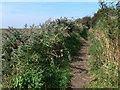 Footpath at the Old Quay, Neston.