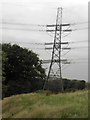 Pylon, High Birks Wood