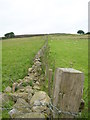 Stone Dyke near Nether Crimmond, Aberdeenshire