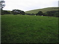 Welsh hillside