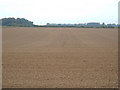 Wolds Farmland