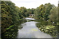 River Stour, Blandford Forum