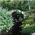 Packhorse Bridge