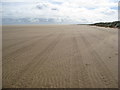 TF4398 : Donna Nook - Beach and Dunes by Alan Heardman