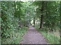 Footpath to East Kilbride Road