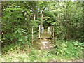 The Footbridge over the Forestburn at Pauperhaugh.