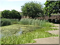 The pond in Twinkle Park, Watergate Street / Borthwick Street, SE8