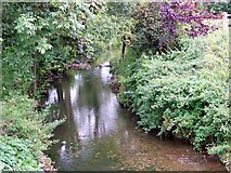 ST6235 : River Alham, Alhampton by Maigheach-gheal