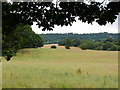 View from Hawkstone Park entrance