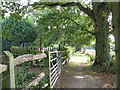 Footpath to The Hangers wood