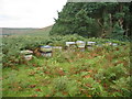 NU1020 : Beehives near Harehope Farm by Les Hull