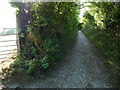 Stony path through Blakeway Hollow near Much Wenlock