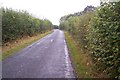 Digdog Lane, near Bettenham Manor