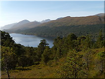 NH2524 : Forest in Glen Affric National Nature Reserve by Matthew Cross
