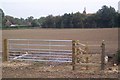 TQ7835 : New Kissing Gate and Gate on High Weald Landscape Trail by David Anstiss