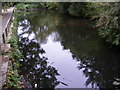 Pond at the Recreation Ground