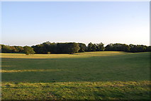 TQ4650 : Large field, Puddledock Lane by N Chadwick