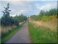 Path through the Sence Valley Forest Park