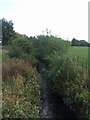 River Trent downstream of Abbey Farm