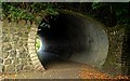 Railway bridge, Carrickfergus (2)