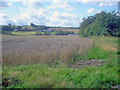 Arable land and pond near Lowlands Farm