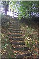 Steps on footpath to Swattenden Lane