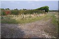 Bend on footpath towards Freight Lane