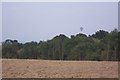 Balloon over Foxearth Wood