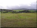 Glashygolgan Townland