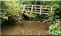 Footbridge, Crawfordsburn Country Park (1)