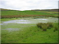 NU0920 : Wetland pond next to Harehope Farm by Les Hull