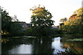 River Stour, Blandford Forum