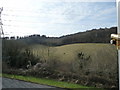 Spring View from my house on Carisbrooke Avenue Sands. High Wycombe Bucks. HP12 4NL