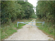 SE9587 : Gated Forest Track, Wykeham Forest by JThomas