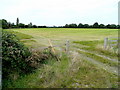 Grassland near Hinton Cross 1