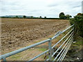 Arable land east of Dumbleton 3