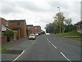 Cottingley Approach - Cottingley Drive