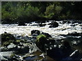 River Nith at Enterkinfoot