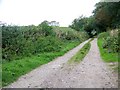 Track near East Horrington