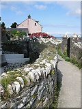 SN0439 : Pembrokeshire Coast Path by Pauline E