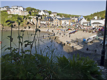 SM8512 : Little Haven beach during Havens' Week service by Christopher Davies