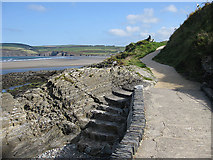 SN0439 : Pembrokeshire Coast Path by Pauline E