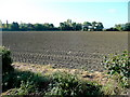 Arable land west of Childswickham