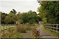 Path Near Leatherhead, Surrey